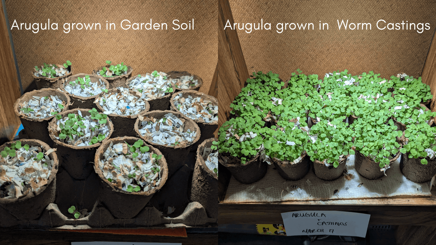 Worm Castings