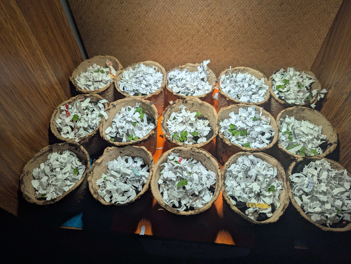 Balcony Buckets