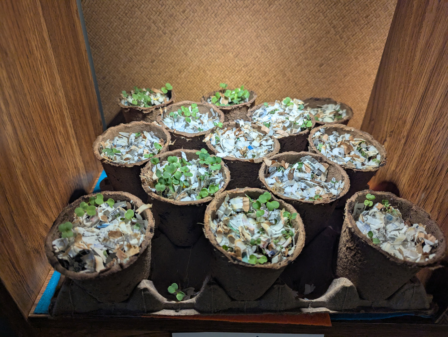 Balcony Buckets