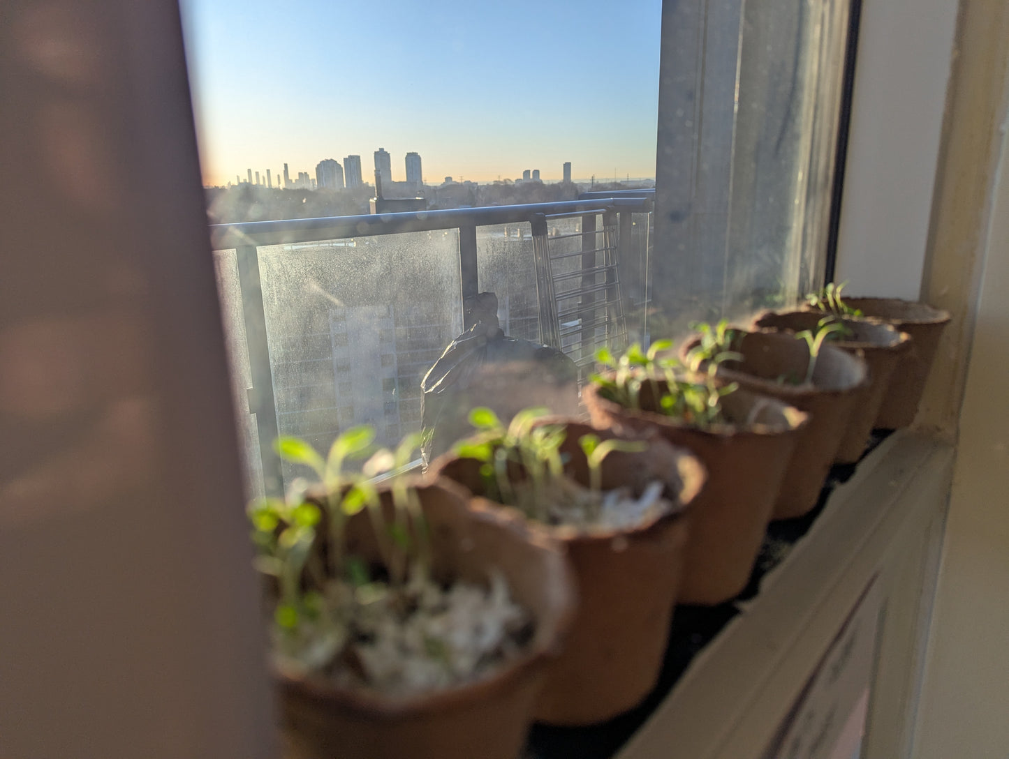 Balcony Buckets