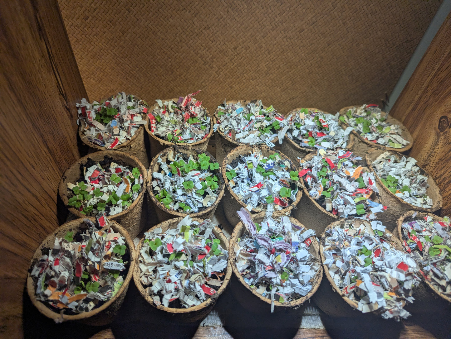 Balcony Buckets