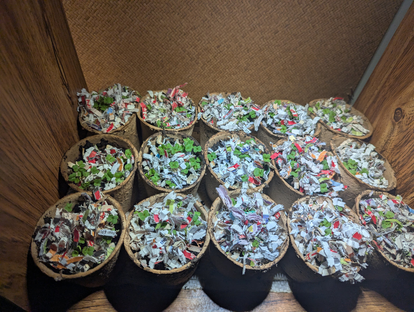 Balcony Buckets