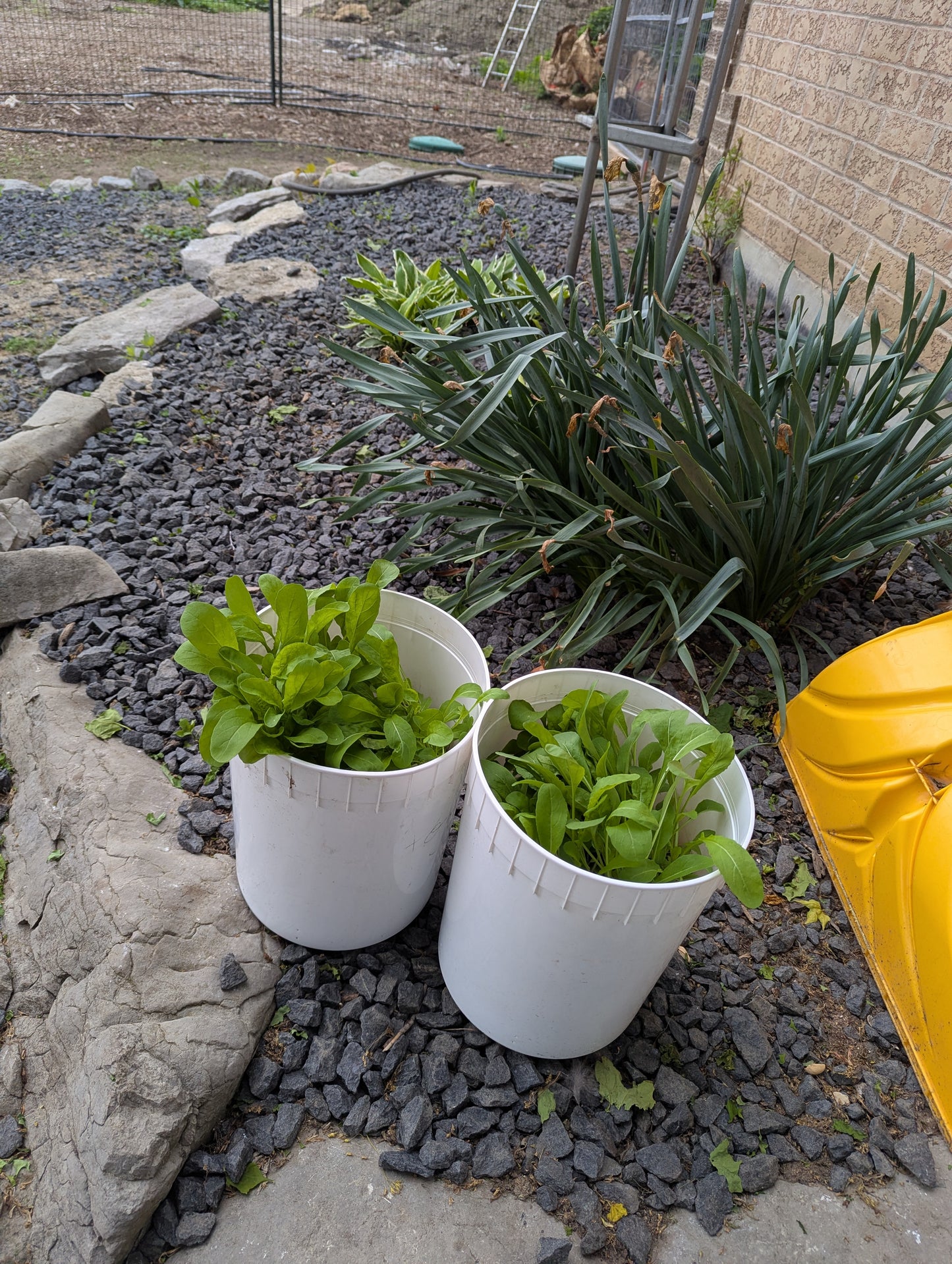 Balcony Buckets