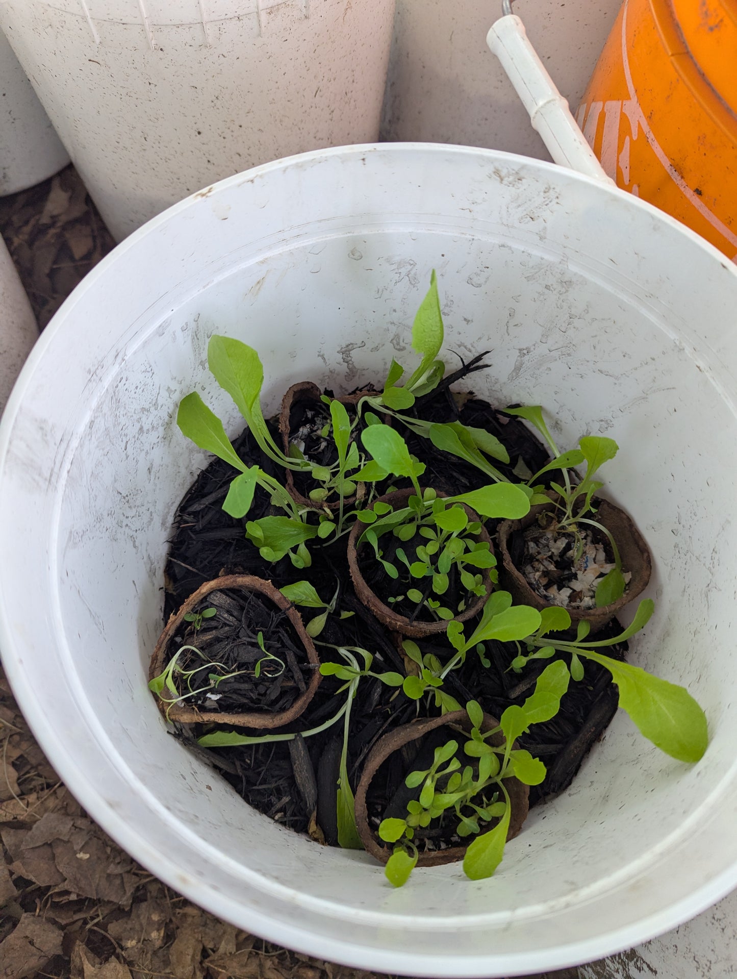 Balcony Buckets