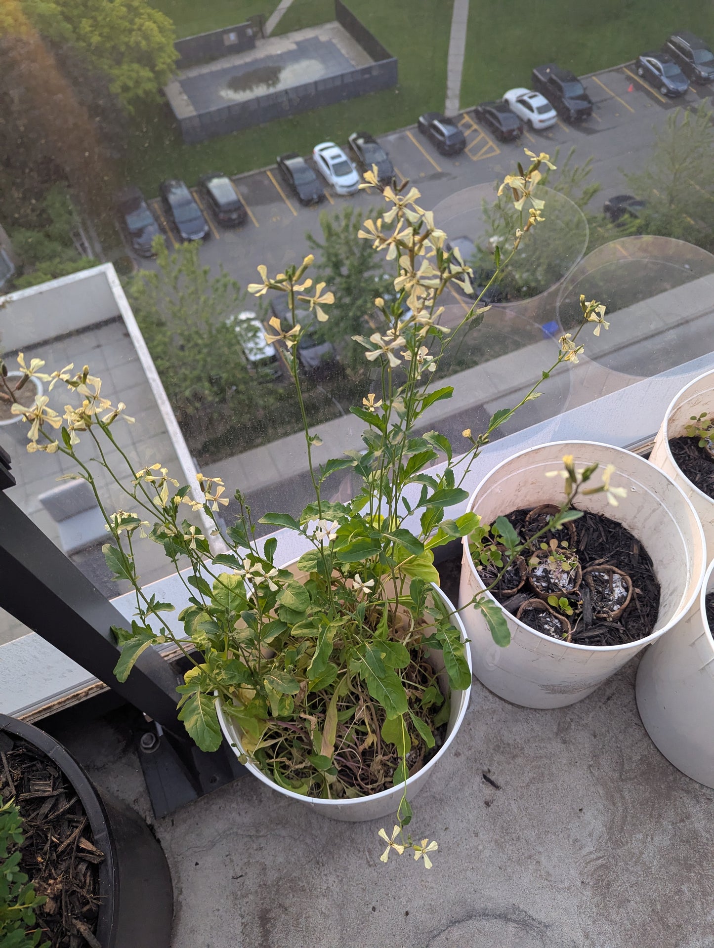 Balcony Buckets