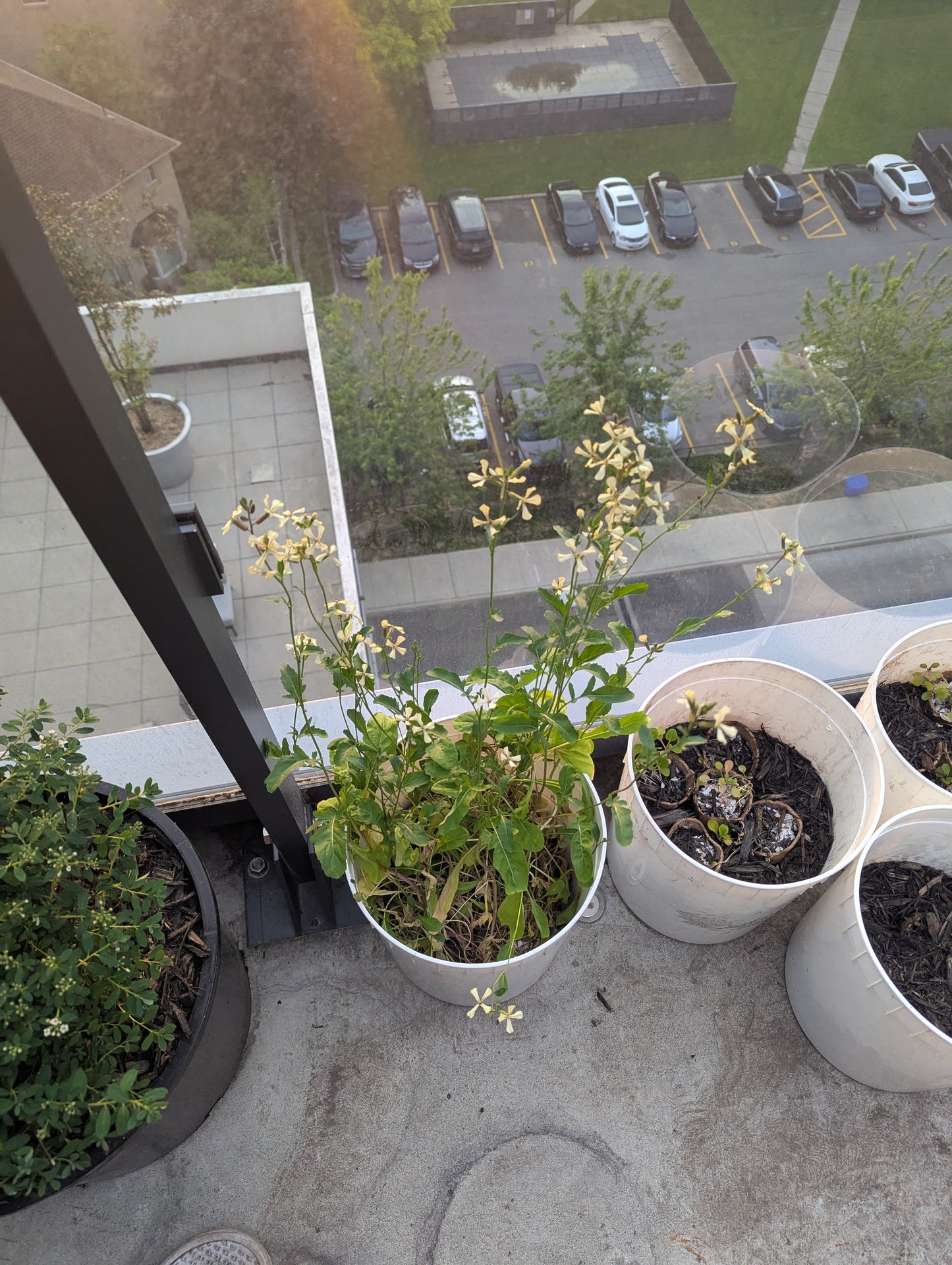 Balcony Buckets