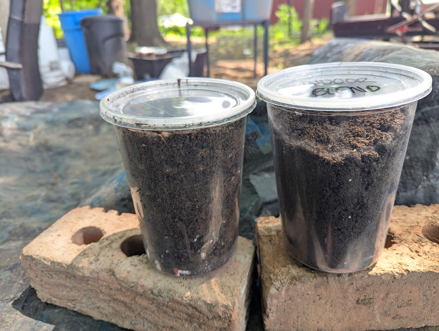 Worm Castings