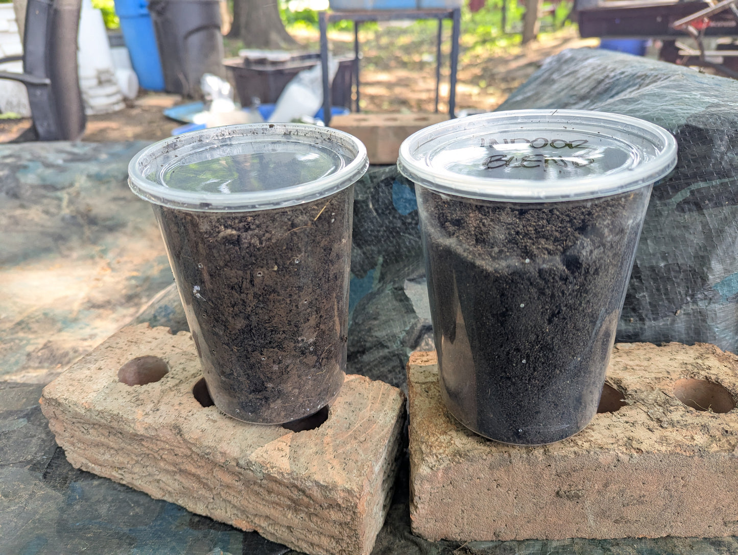 Worm Castings