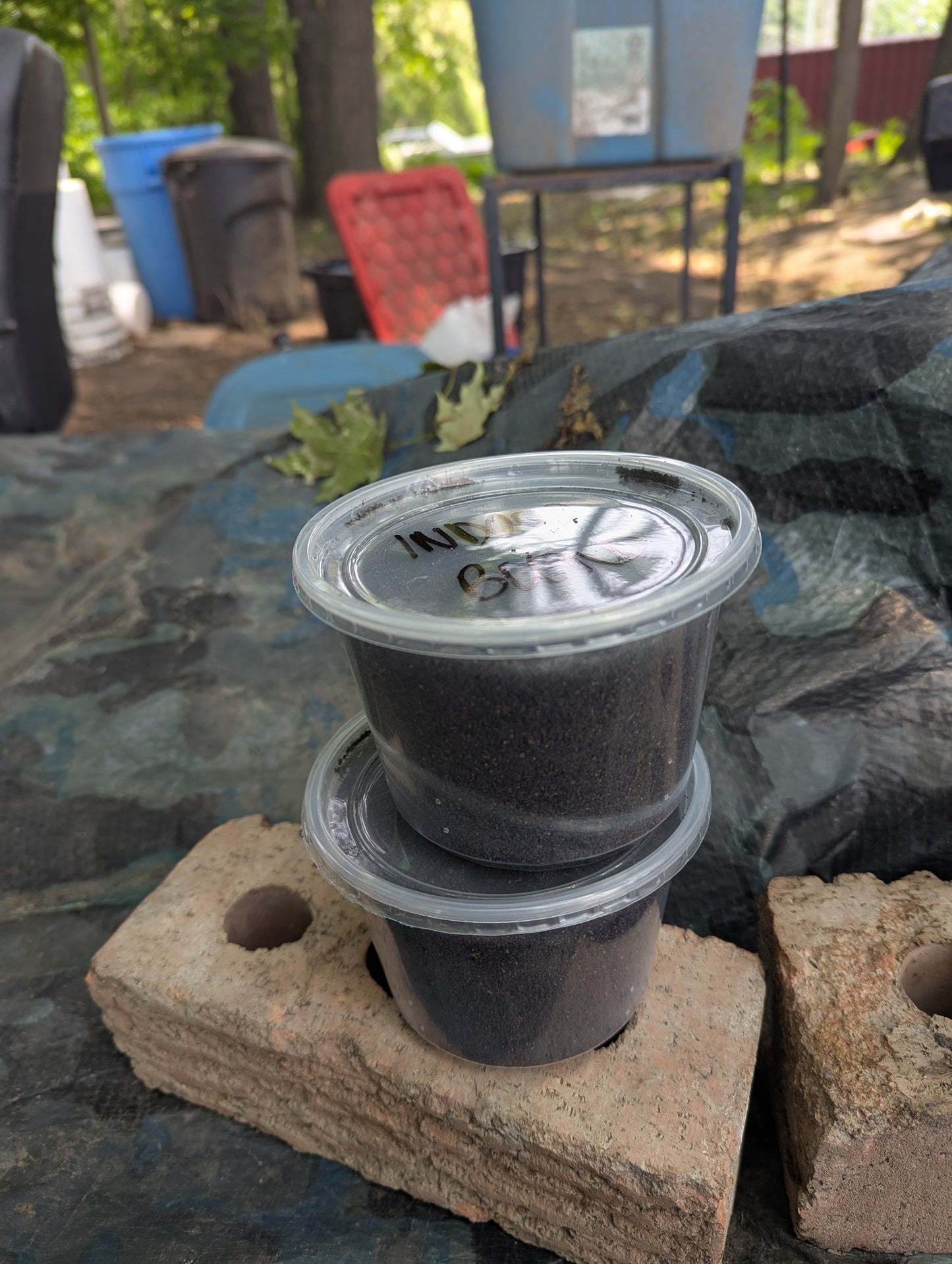 Worm Castings