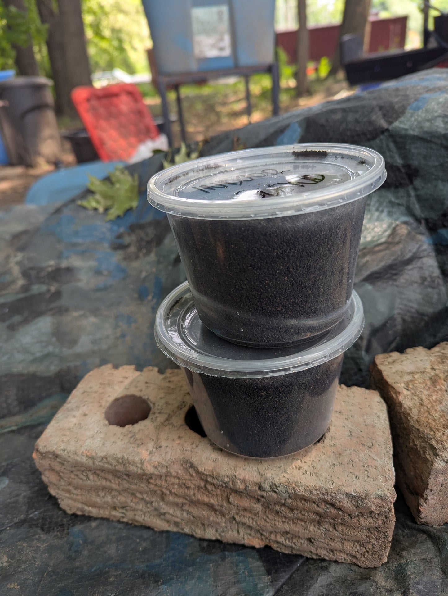 Worm Castings