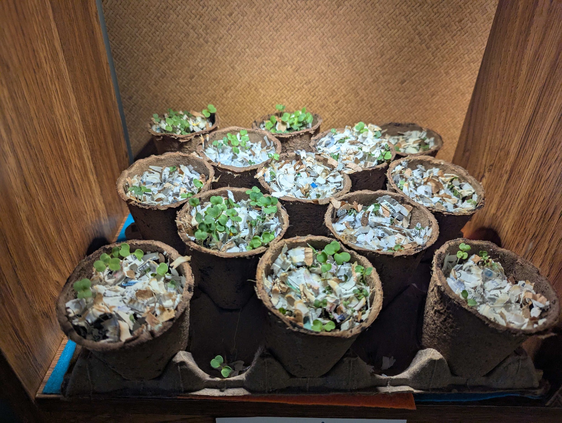 Balcony Buckets