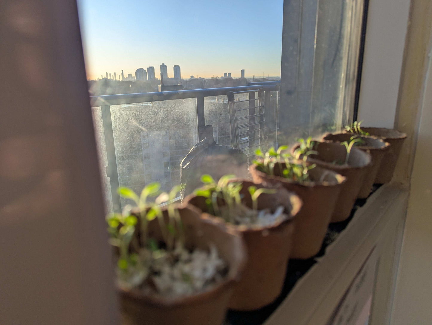 Balcony Buckets