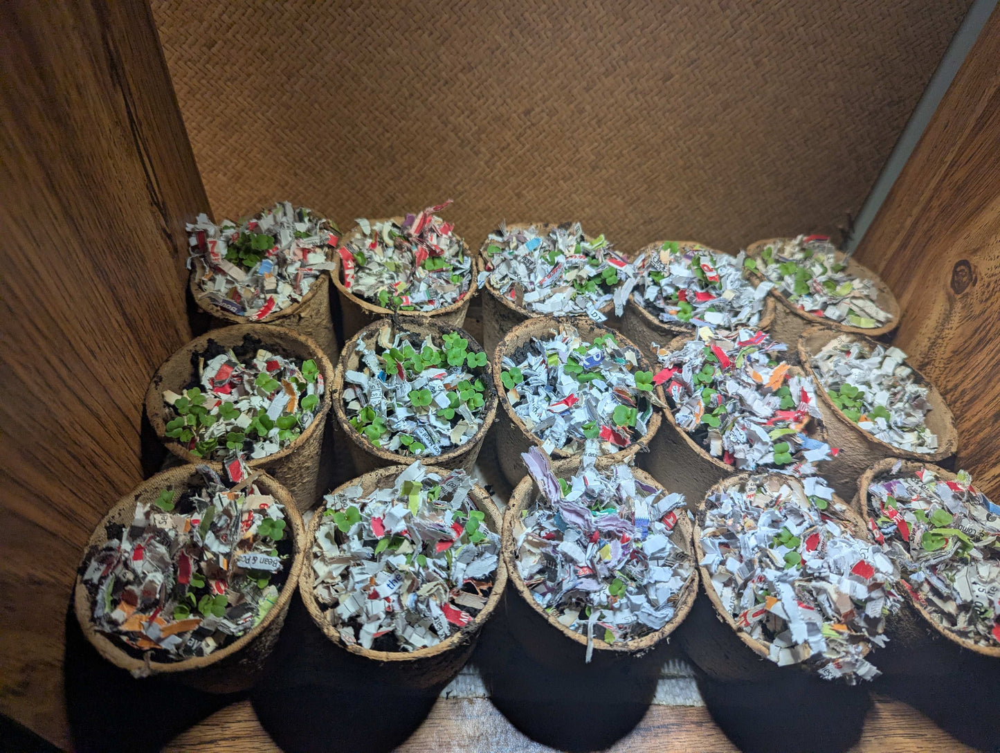 Balcony Buckets