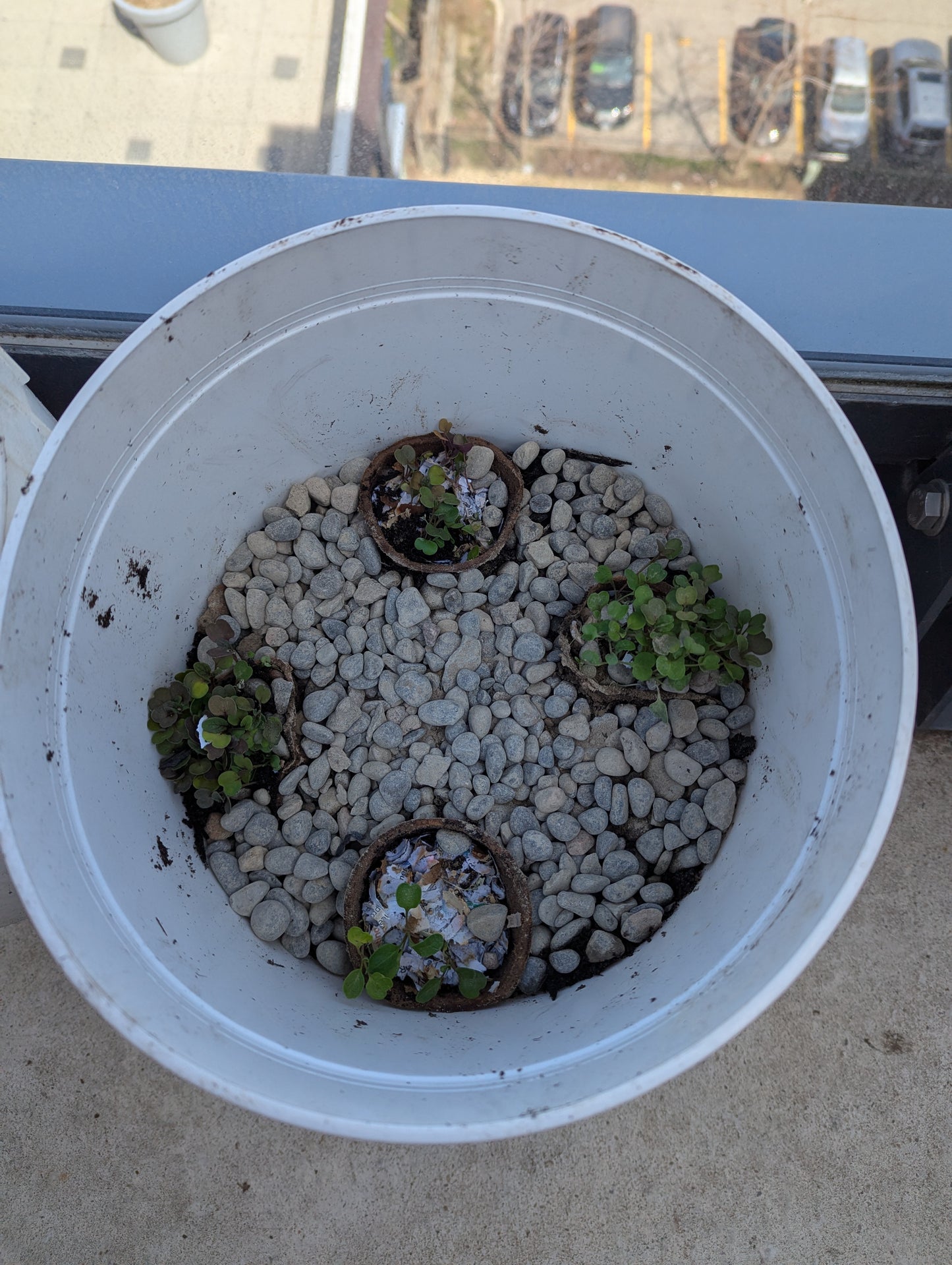Balcony Buckets